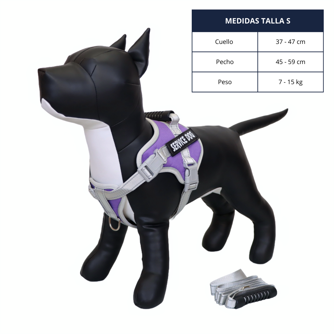 Pechera Reflectante con Asa y Collar para Perro - Color Morado, Talla S