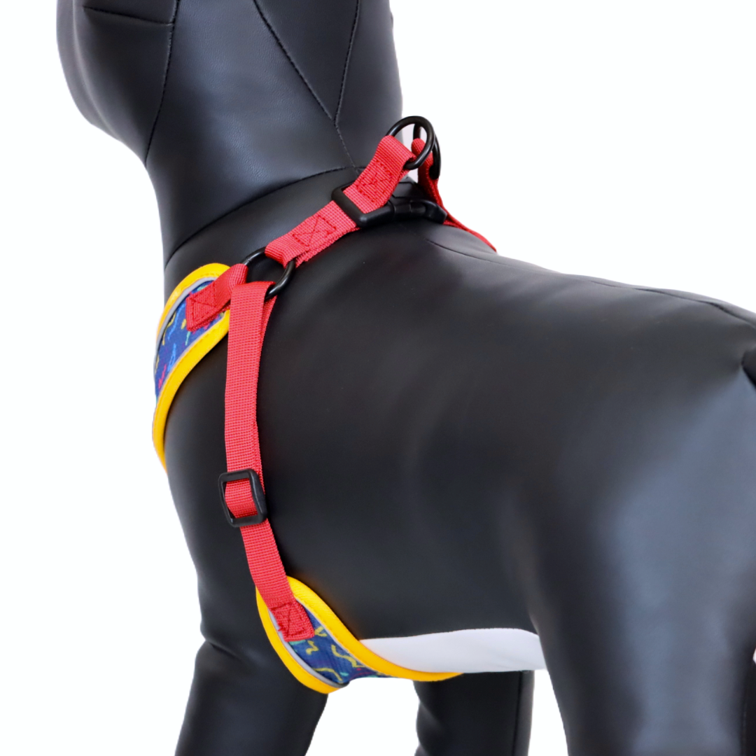 Arnés y Correa para Perro - Diseño con Líneas, Talla M