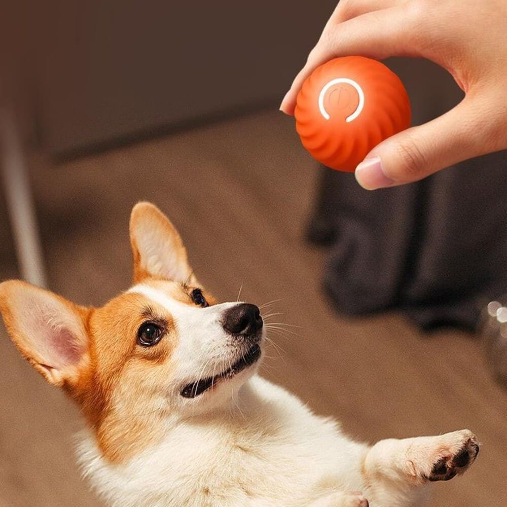 Pelota Inteligente E Interactiva Con Repuesto Para Mascotas