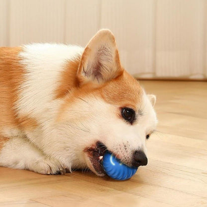 Pelota Inteligente E Interactiva Con Repuesto Para Mascotas