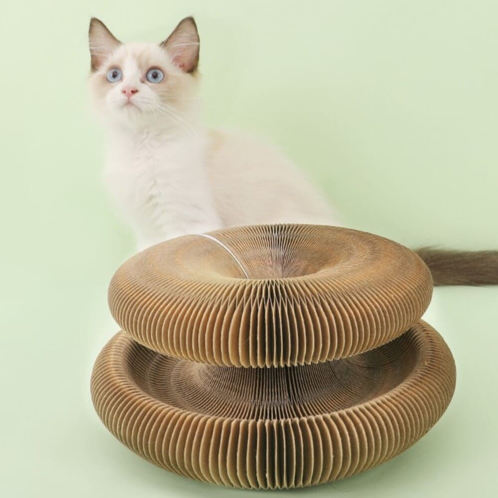 Juguete Interactivo para Rascar para Gatos