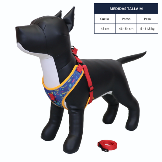 Arnés y Correa para Perro - Diseño con Líneas, Talla M