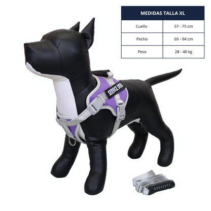Pechera Reflectante con Asa y Collar para Perro - Color Morado, Talla XL