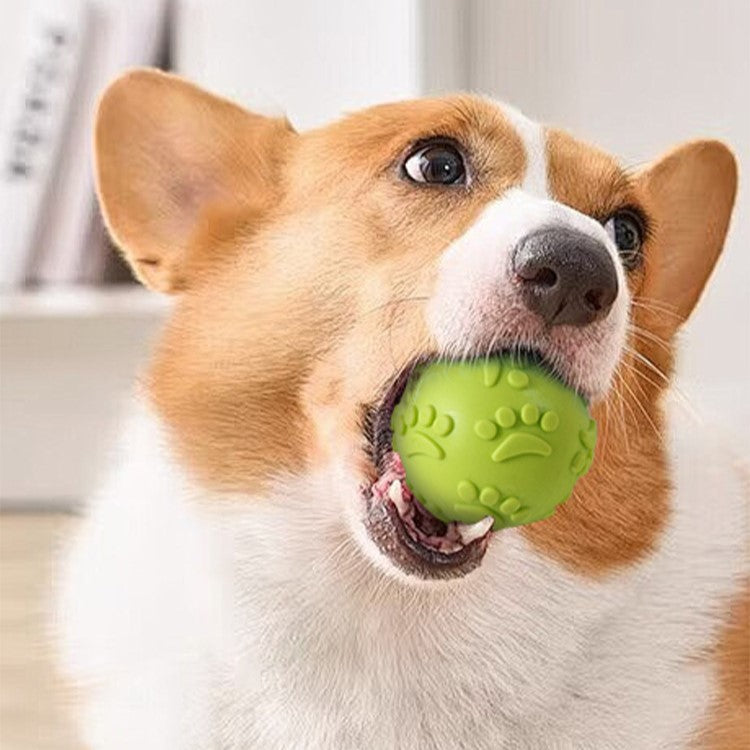 PACK DE 6 PELOTAS DE CAUCHO, CON ALTO RELIEVE DE HUELLAS Y SONIDO PARA MASCOTAS