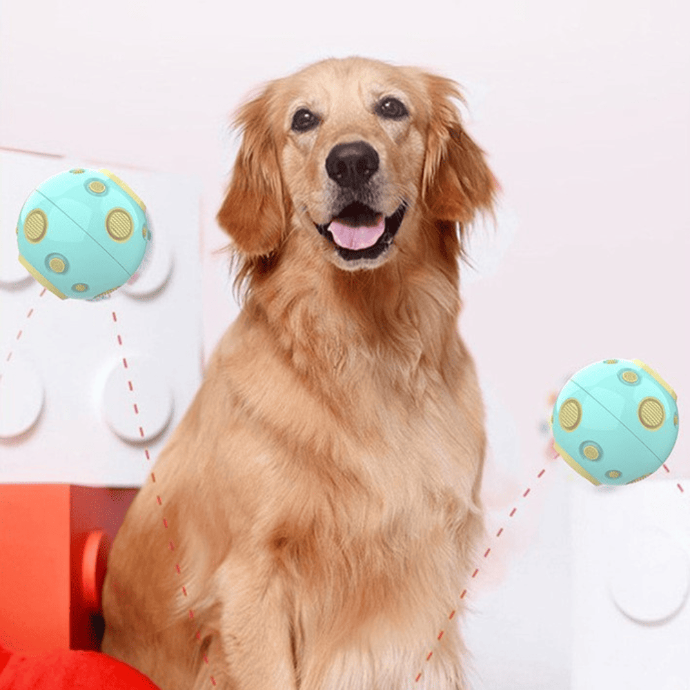 Pelota Multifuncional y con Sonido para Perros Color Celeste