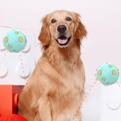 Pelota Multifuncional y con Sonido para Perros Color Celeste