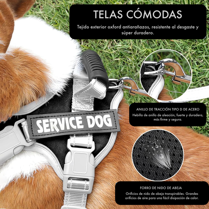 Pechera Reflectante con Asa y Collar para Perro - Color Turquesa, Talla S