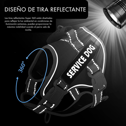 Pechera Reflectante con Asa y Collar para Perro - Color Turquesa, Talla S