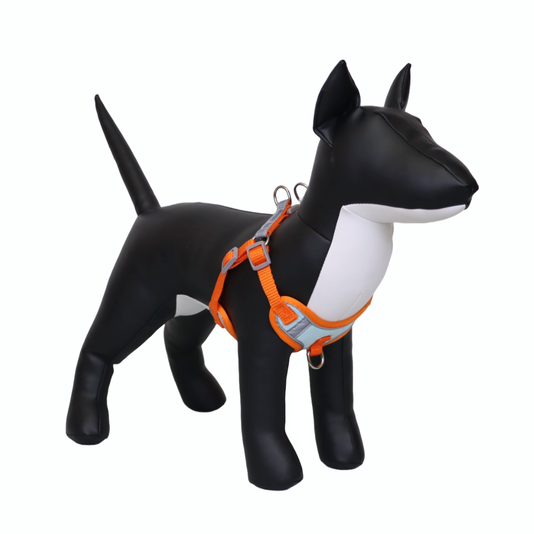 Arnés Reflectante para Perro Color Celeste/Naranja Talla M
