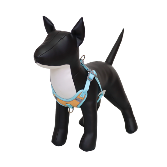 Arnés Reflectante para Perro Color Naranja/Celeste Talla XL