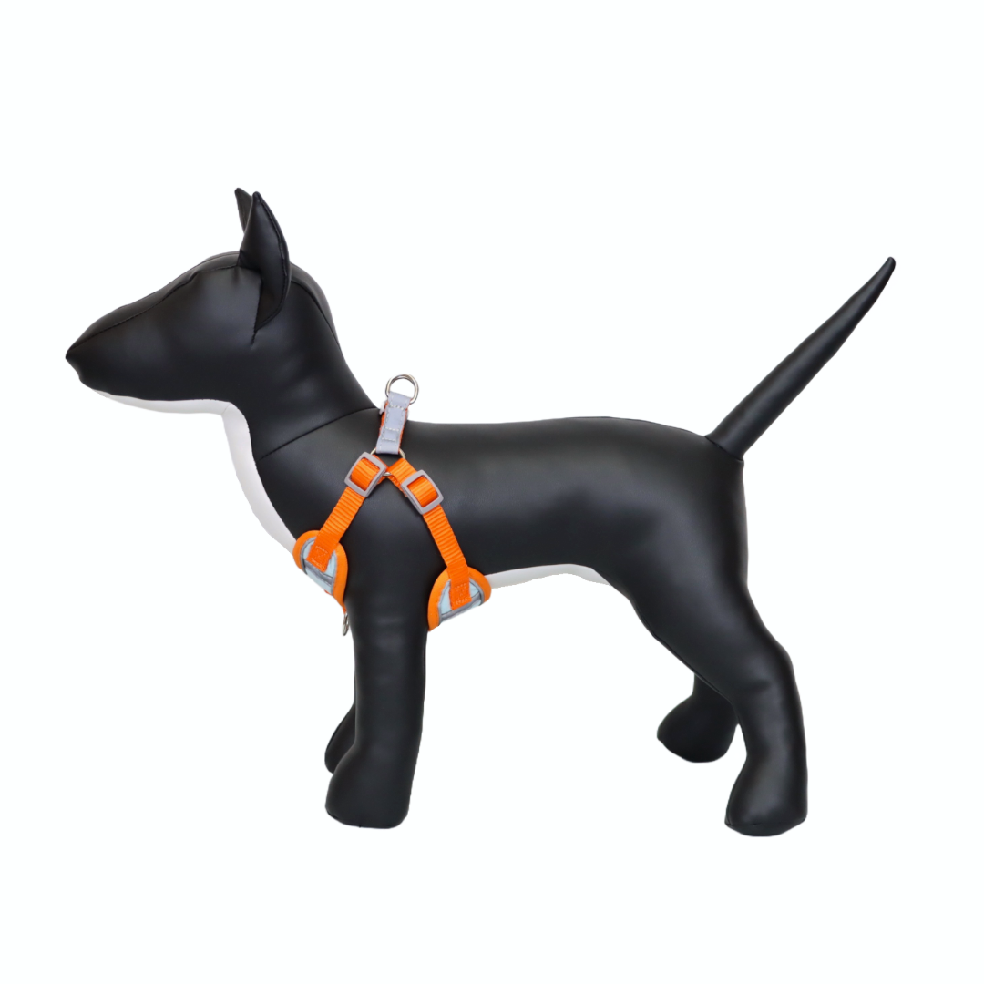 Arnés Reflectante para Perro Color Celeste/Naranja Talla XL