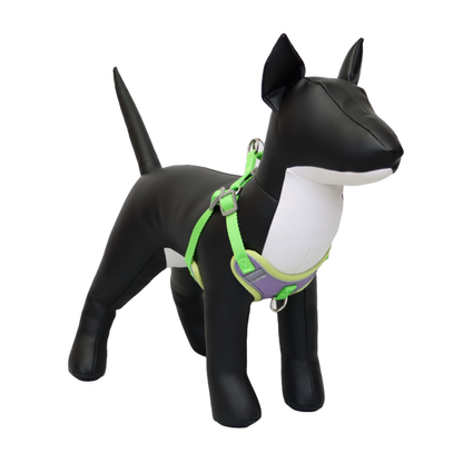 Arnés Reflectante para Perro Color Morado/Verde Talla XL