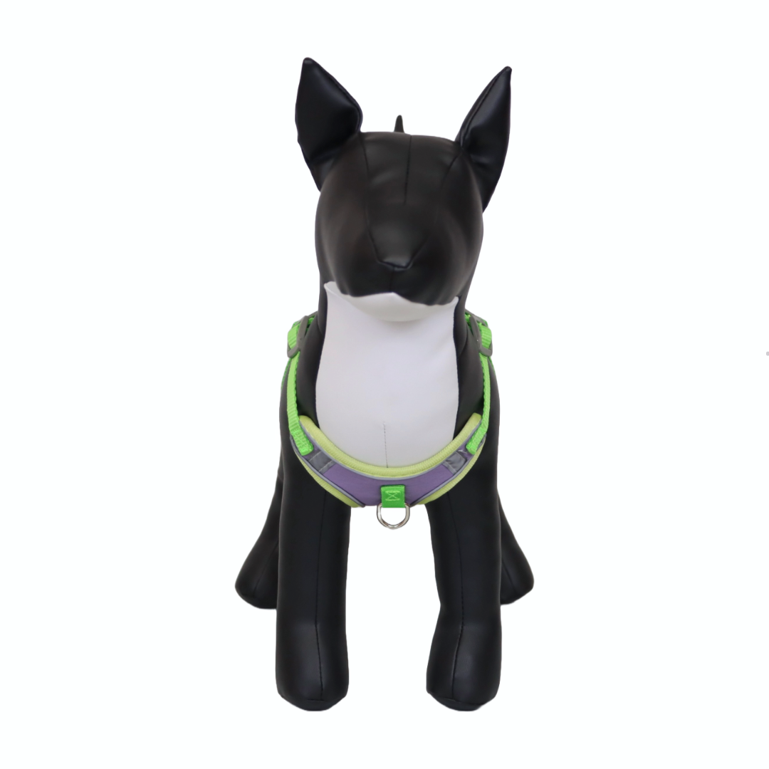Arnés Reflectante para Perro Color Morado/Verde Talla L