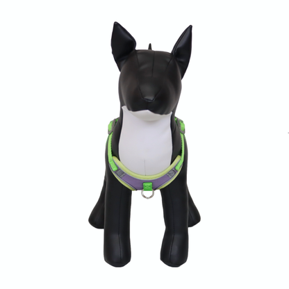 Arnés Reflectante para Perro Color Morado/Verde Talla XL