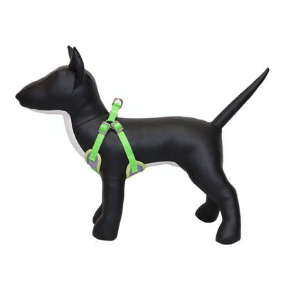 Arnés Reflectante para Perro Color Morado/Verde Talla XL