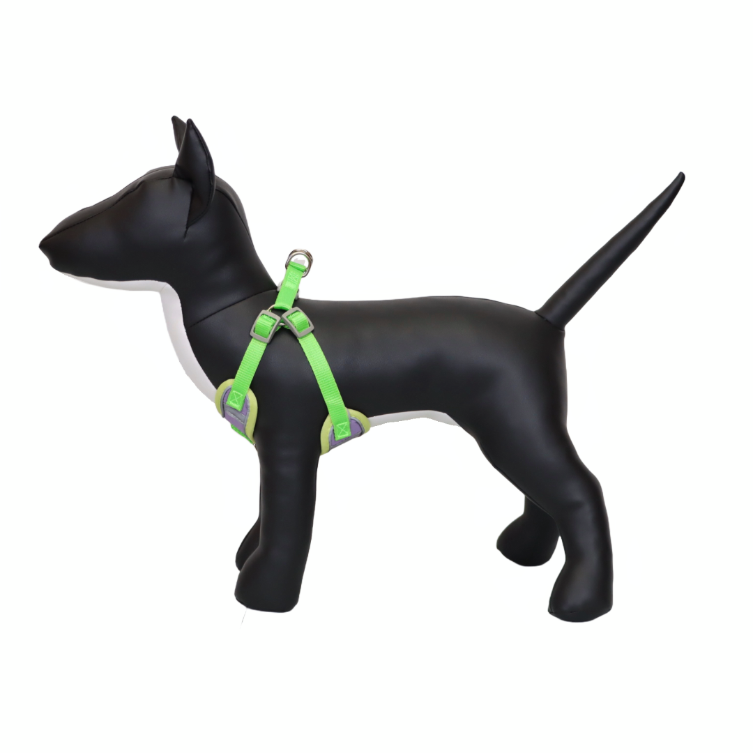 Arnés Reflectante para Perro Color Morado/Verde Talla M
