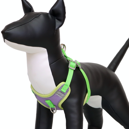 Arnés Reflectante para Perro Color Morado/Verde Talla XL