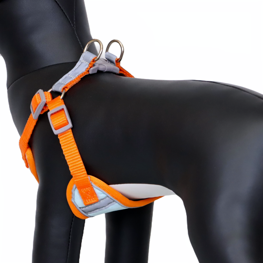 Arnés Reflectante para Perro Color Celeste/Naranja Talla XL