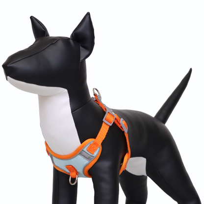 Arnés Reflectante para Perro Color Celeste/Naranja Talla XL