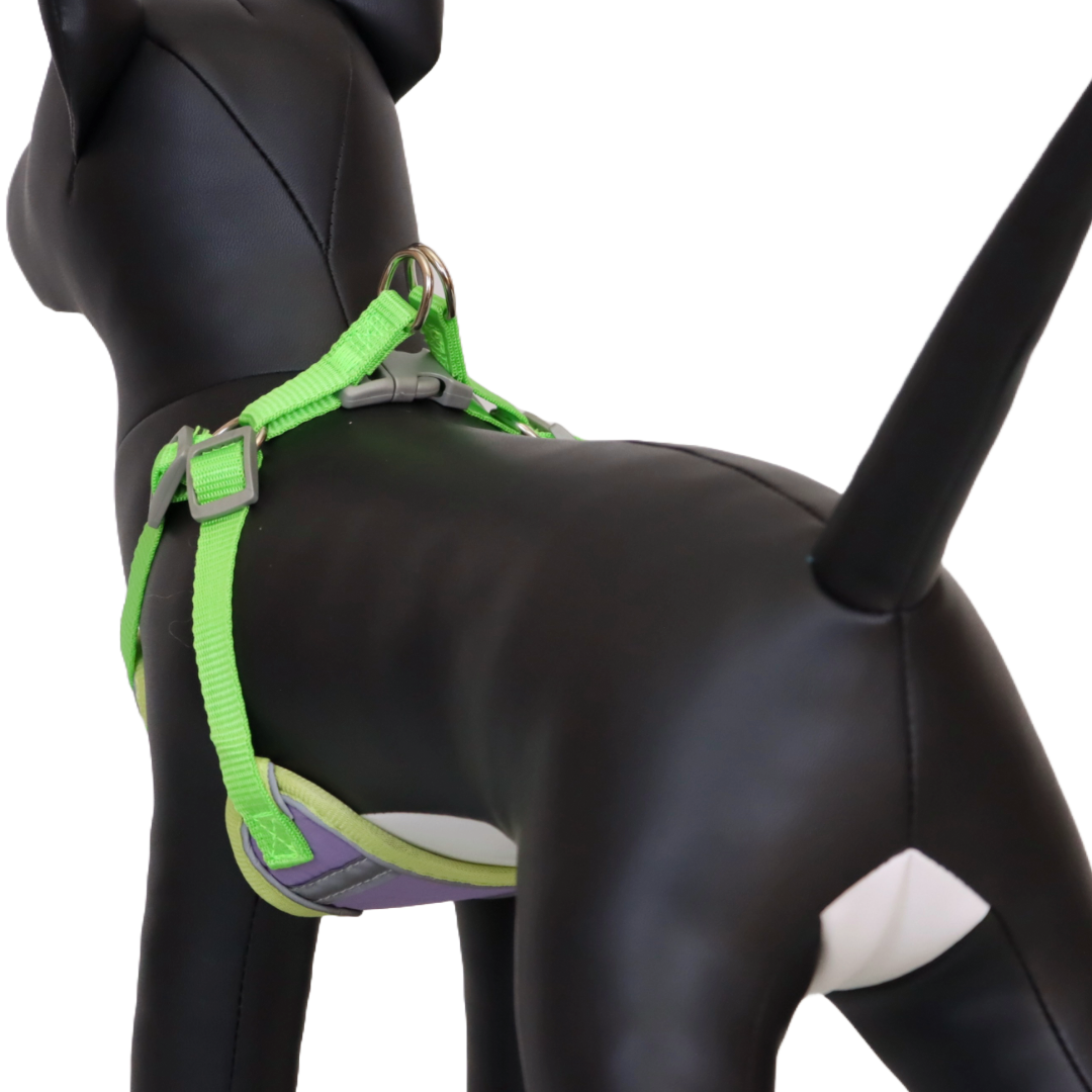 Arnés Reflectante para Perro Color Morado/Verde Talla L