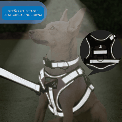 COLLAR Y PECHERA TÁCTICA REFORZADA PARA PERRO - COLOR TURQUESA, TALLA M