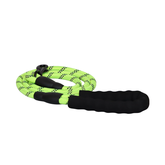 CORREA PARA MASCOTAS REFLECTANTE, DURADERA Y CÓMODA COLOR VERDE