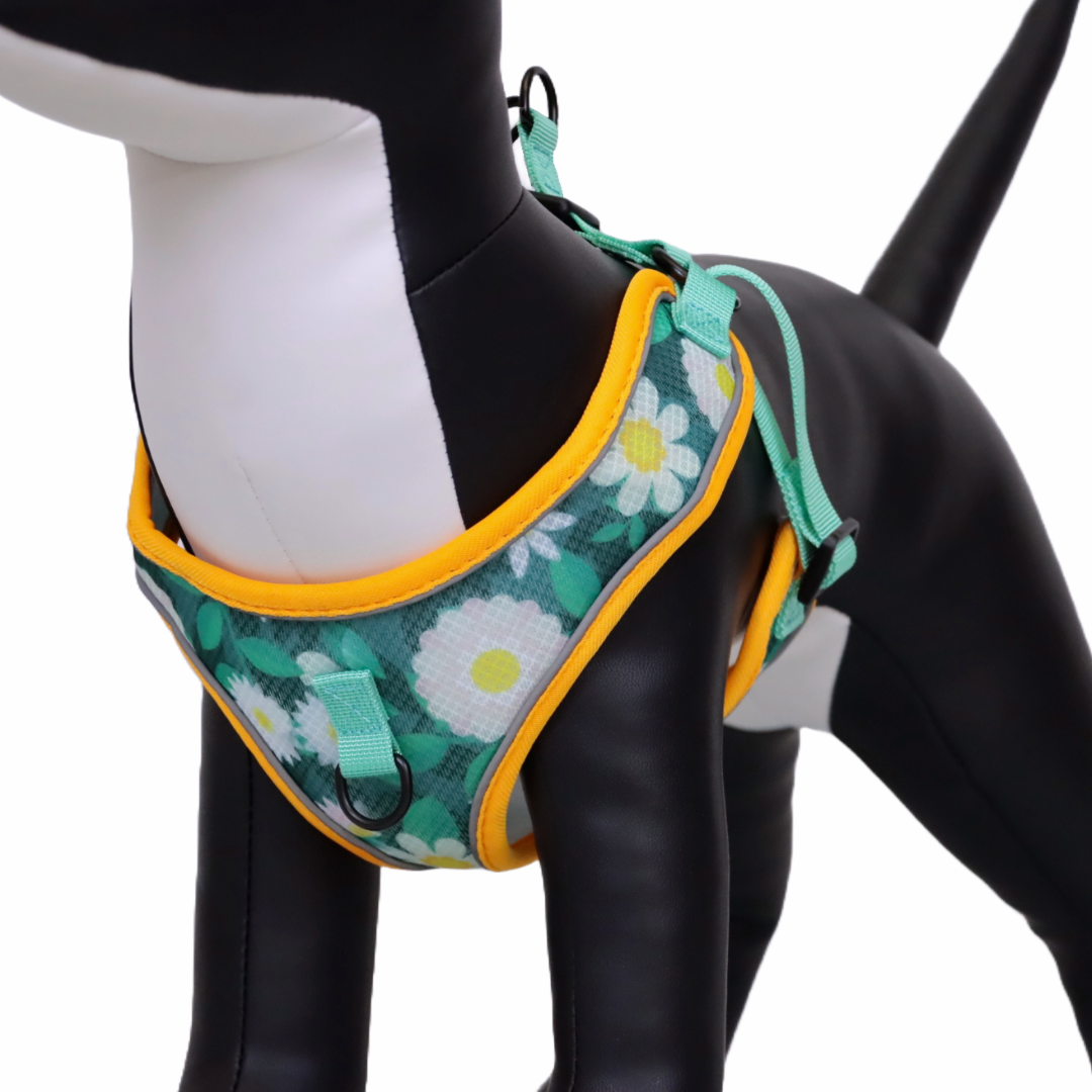 Arnés y Correa para Perro - Diseño de Flores, Talla M