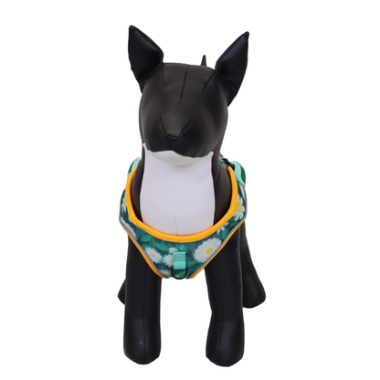 Arnés y Correa para Perro - Diseño de Flores, Talla M