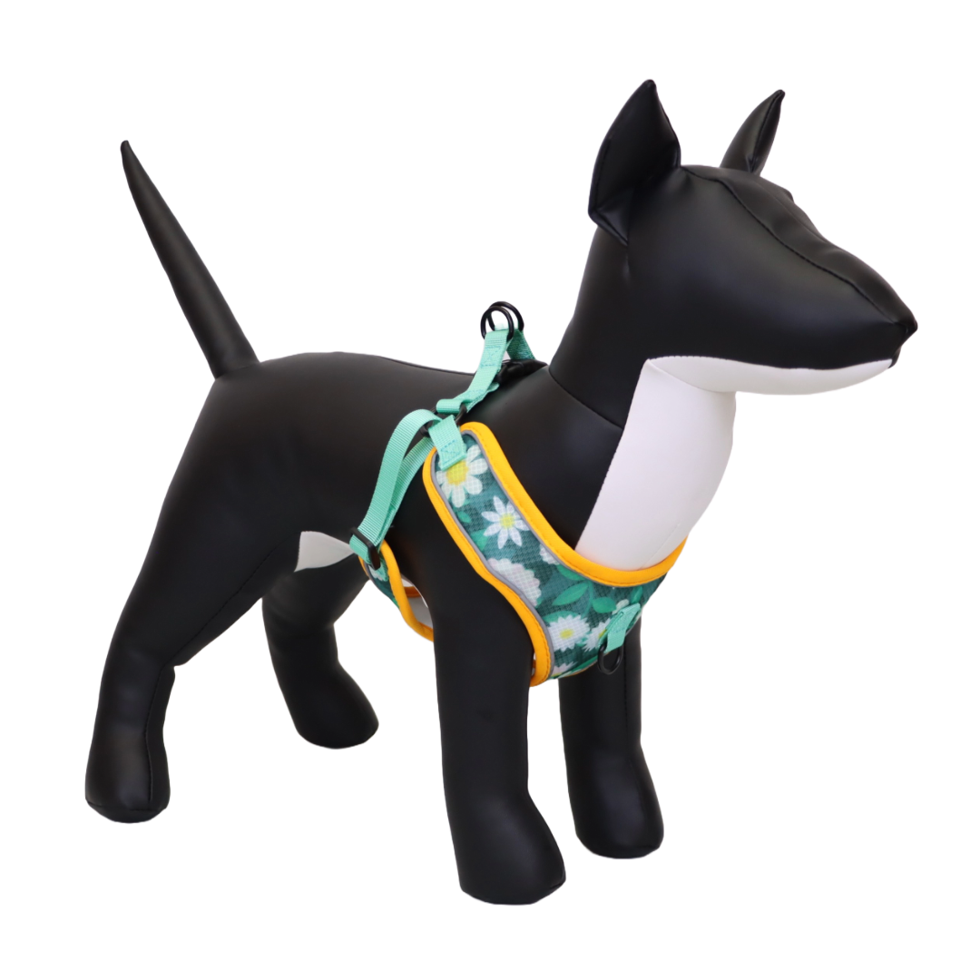 Arnés y Correa para Perro - Diseño de Flores, Talla M