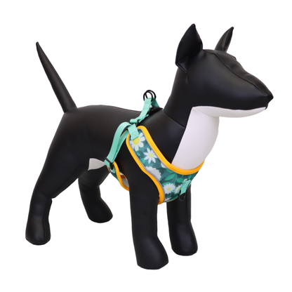 Arnés y Correa para Perro - Diseño con Flores, Talla L