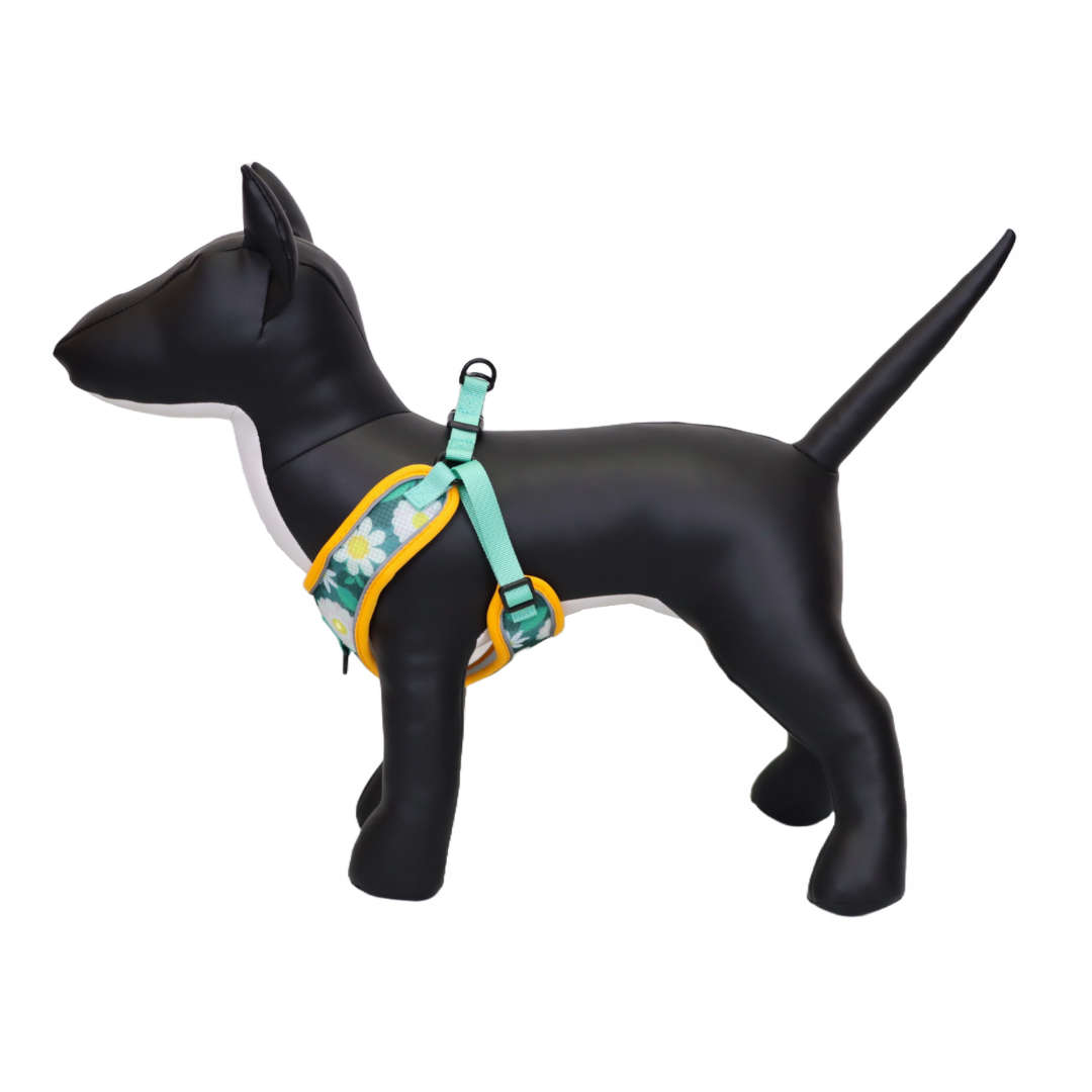 Arnés y Correa para Perro - Diseño con Flores, Talla L