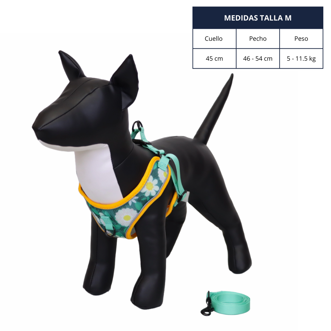 Arnés y Correa para Perro - Diseño de Flores, Talla M
