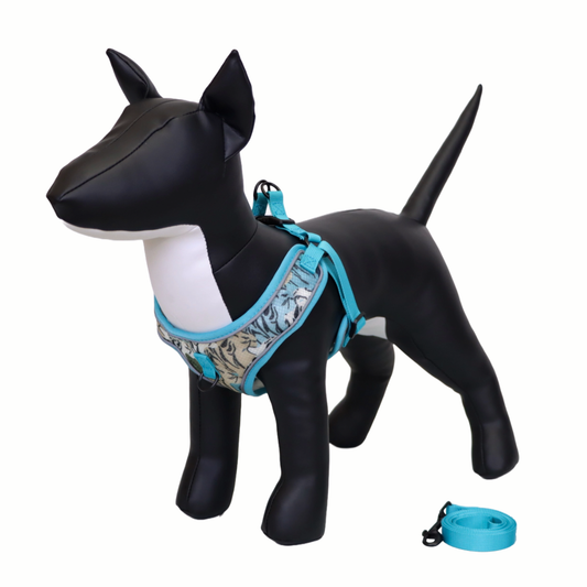 Arnés y Correa para Perro - Diseño Atigrado, Talla M