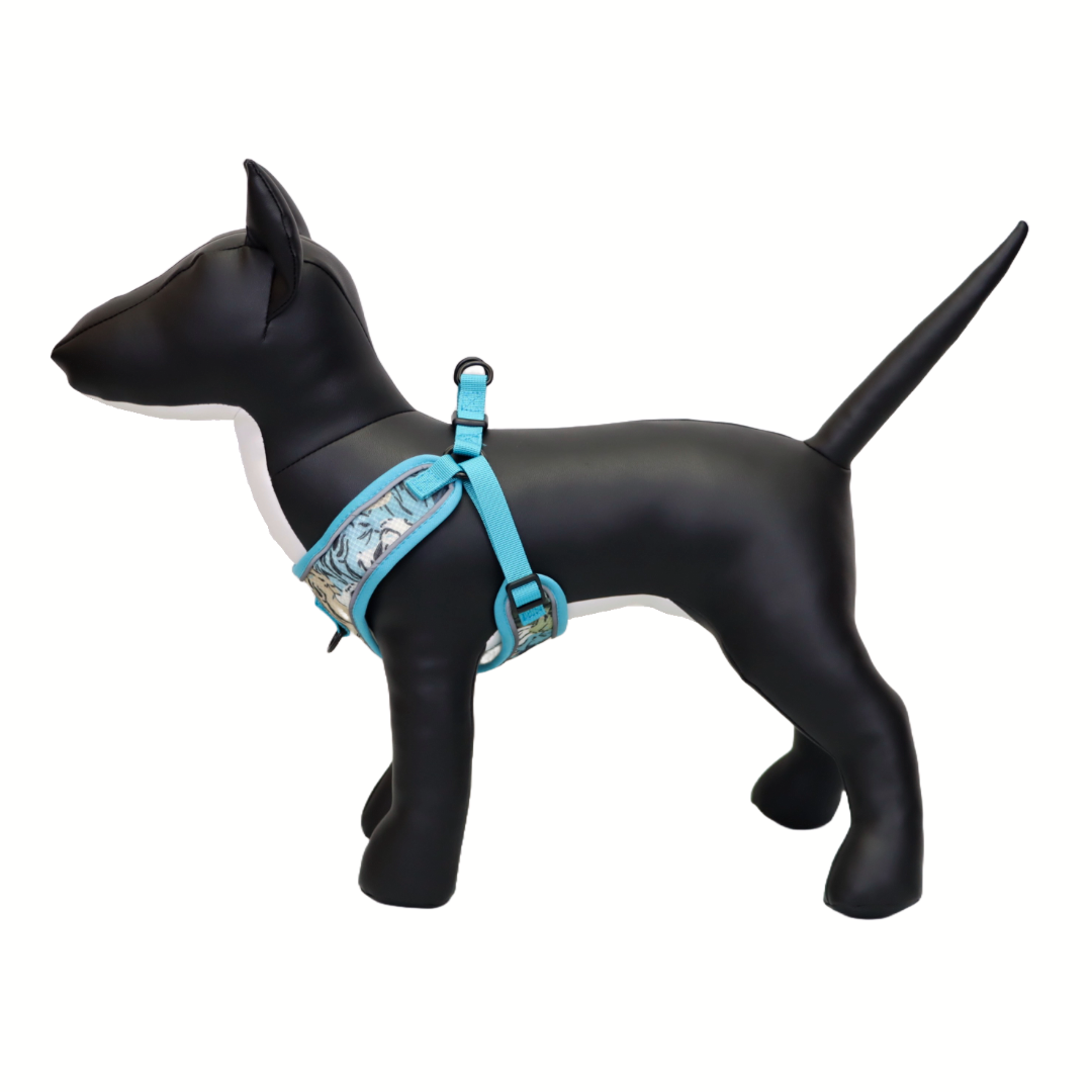 Arnés y Correa para Perro - Diseño Atigrado, Talla M