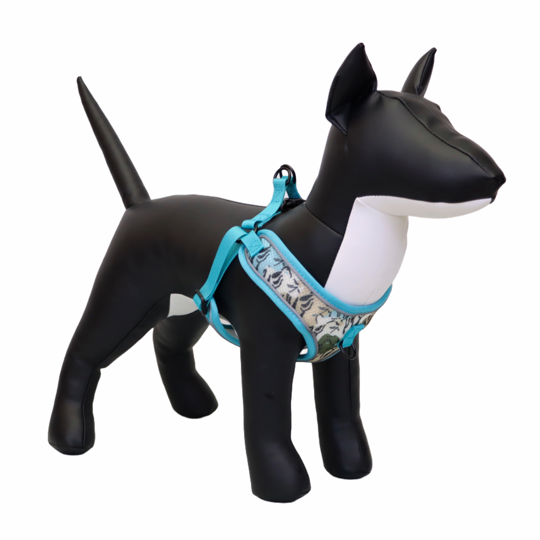 Arnés y Correa para Perro - Diseño Atigrado, Talla M