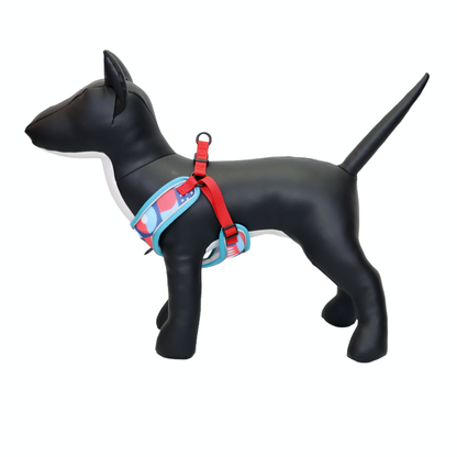 Arnés y Correa para Perro - Diseño de Figuras, Talla L