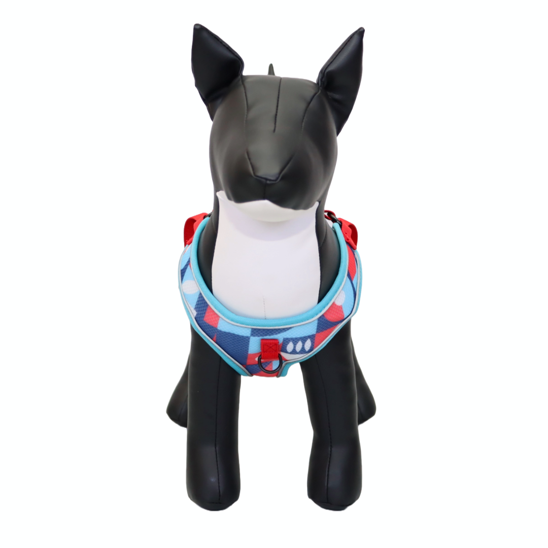 Arnés y Correa para Perro - Diseño de Figuras, Talla M