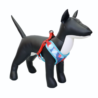 Arnés y Correa para Perro - Diseño de Figuras, Talla L