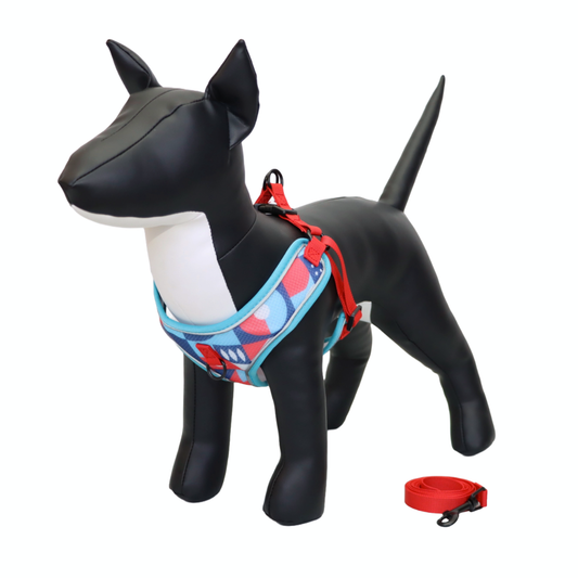 Arnés y Correa para Perro - Diseño de Figuras, Talla L