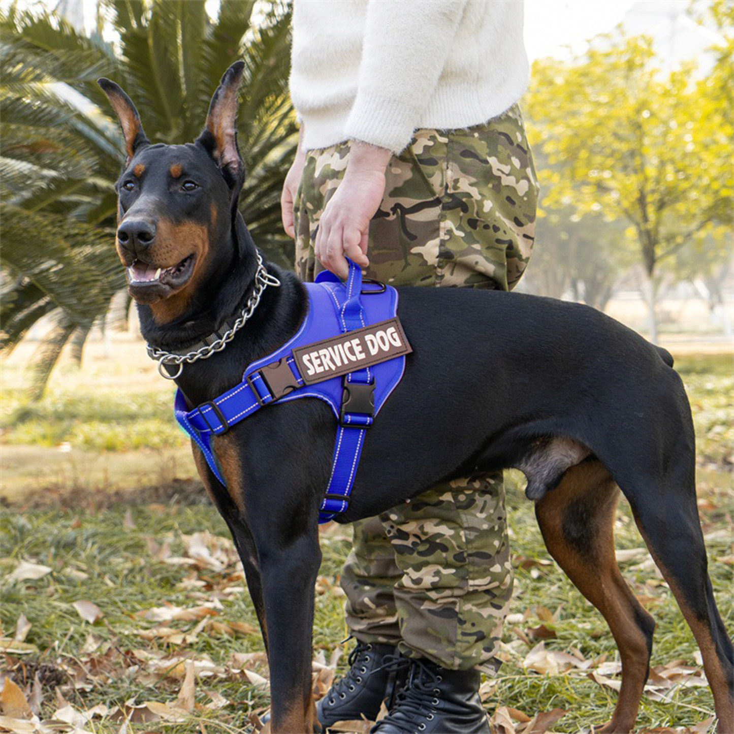 Arnés de Servicio Extra Doble para Perro - Color Azul Talla M