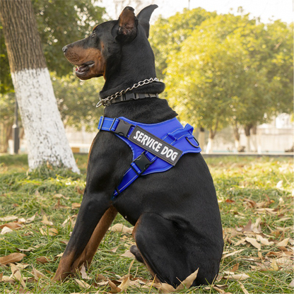 Arnés de Servicio Extra Doble para Perro - Color Azul Talla M