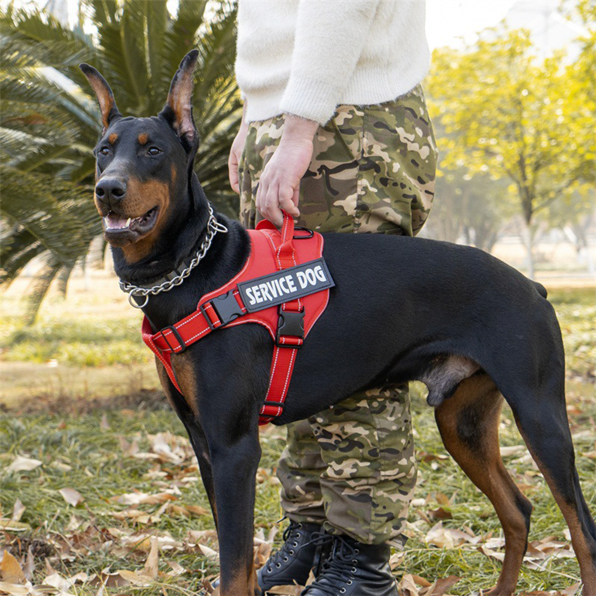 Arnés de Servicio Extra Doble para Perro - Color Rojo Talla XL