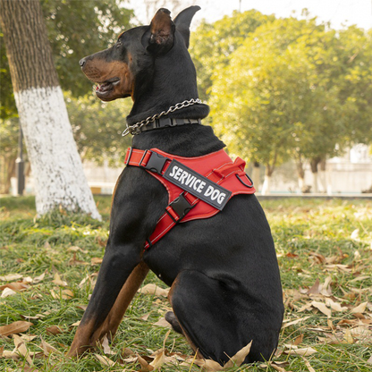 Arnés de Servicio Extra Doble para Perro - Color Rojo Talla M