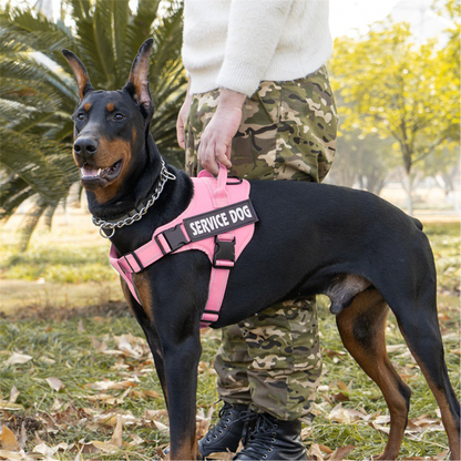 Arnés de Servicio Extra Doble para Perro - Color Rosado, Talla XL