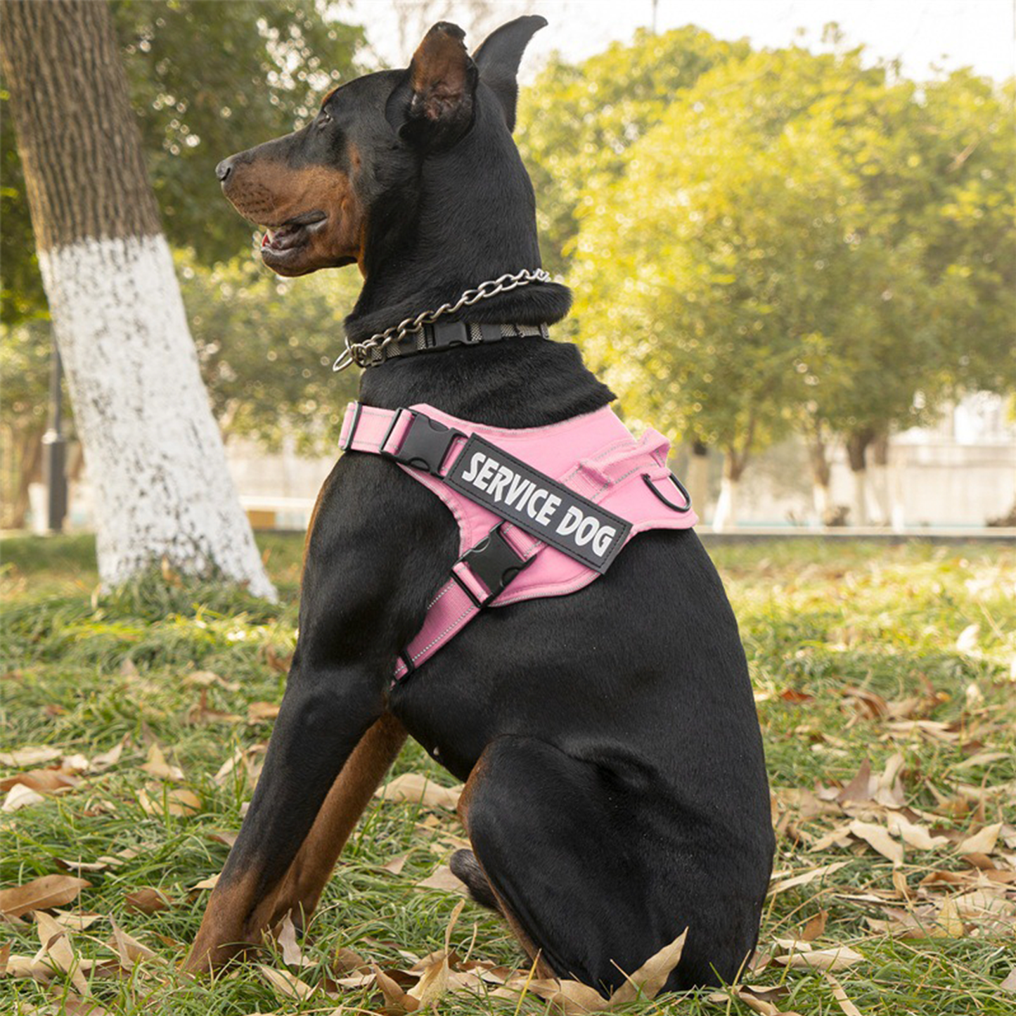 Arnés de Servicio Extra Doble para Perro - Color Rosado, Talla XL