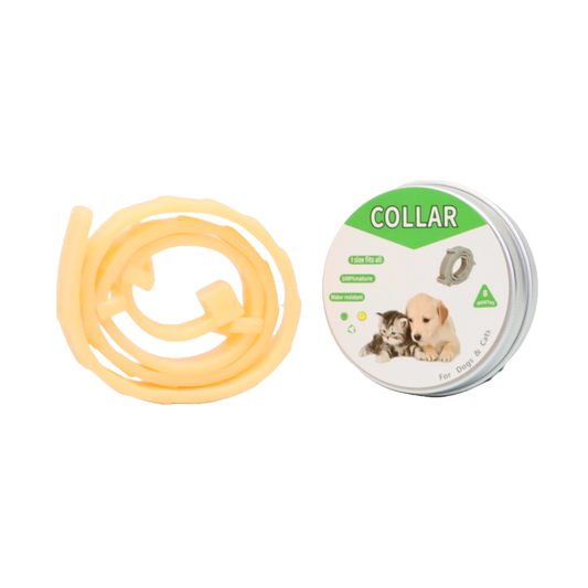 COLLAR ANTIPULGAS PARA PERRO PEQUEÑO EN LATA COLOR MELÓN