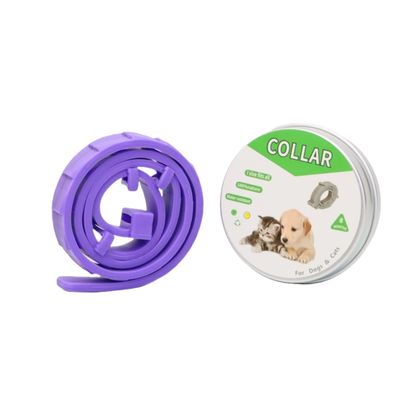 COLLAR ANTIPULGAS PARA PERRO PEQUEÑO EN LATA COLOR MORADO
