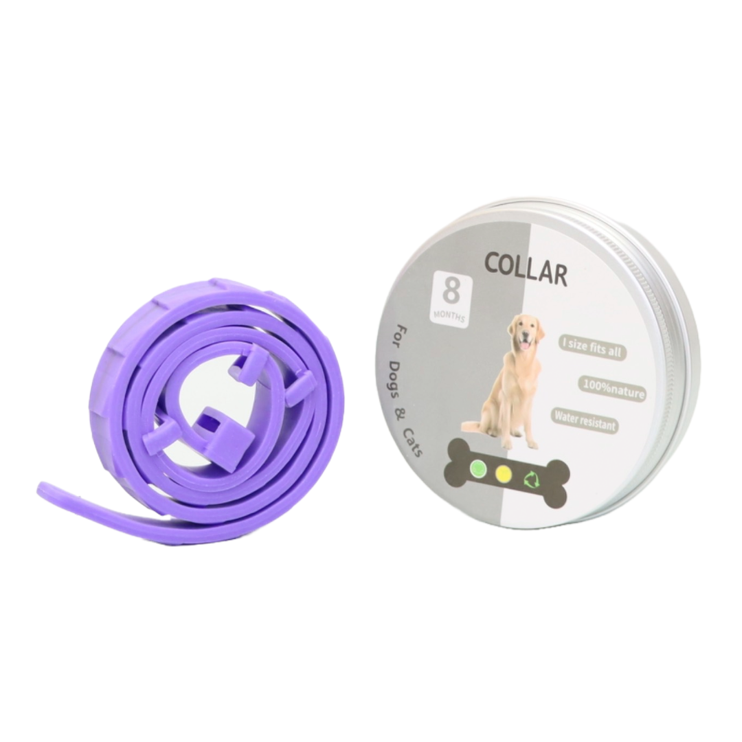 COLLAR ANTIPULGAS PARA PERRO GRANDE EN LATA COLOR MORADO