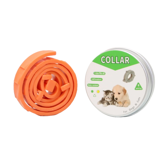 COLLAR ANTIPULGAS PARA PERRO PEQUEÑO EN LATA COLOR NARANJA