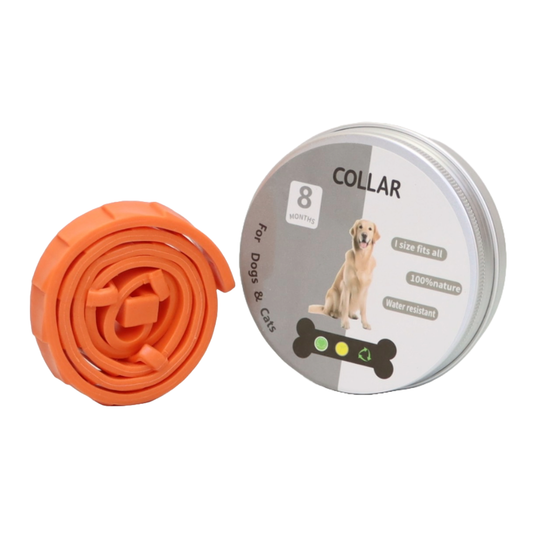 COLLAR ANTIPULGAS PARA PERRO GRANDE EN LATA COLOR NARANJA